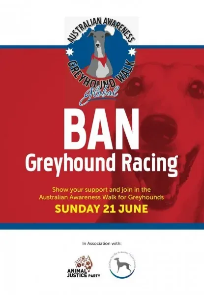 11406348 1438733579767711 5377026351653064325 o