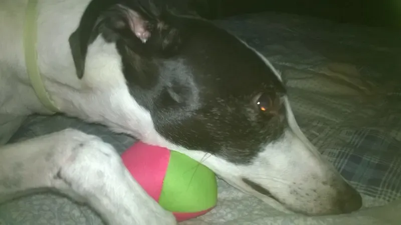 11406371 10207190378103474 3132695817125103660 o