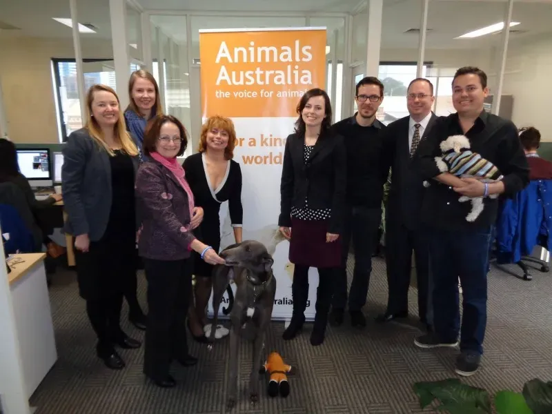 11411908 10153014912733354 5447376459080104479 o