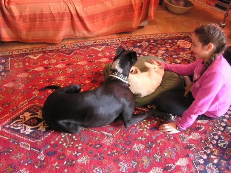 11419 775564529194071 8567753006214622617 n