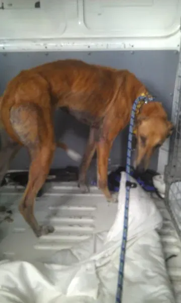 11422175 10205827763266832 1119861639 o