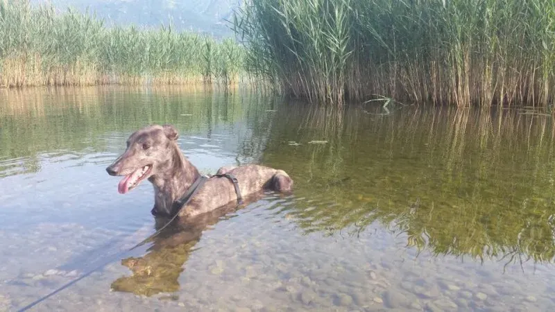 11422752 855474004544204 940378018 n