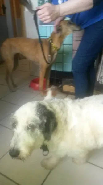 11423003 10205837983122322 664218942 o