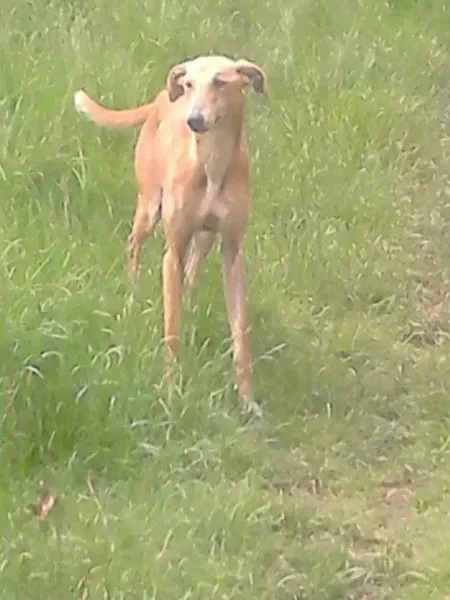 11428004 10153402382406255 1445497820075912652 n