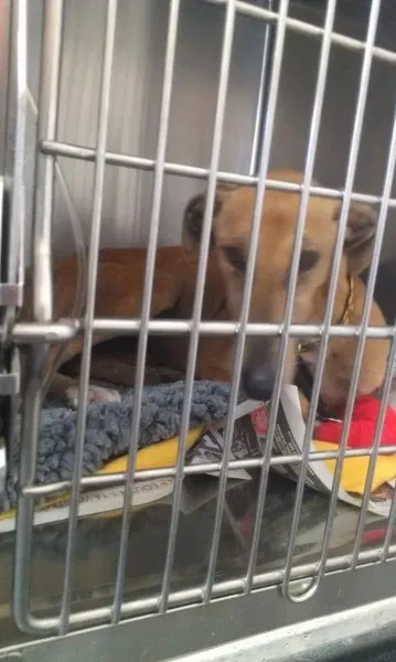 11429070 10205827762906823 1435263591 o