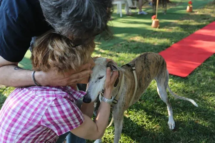 11447 351504401642642 1037796655 n