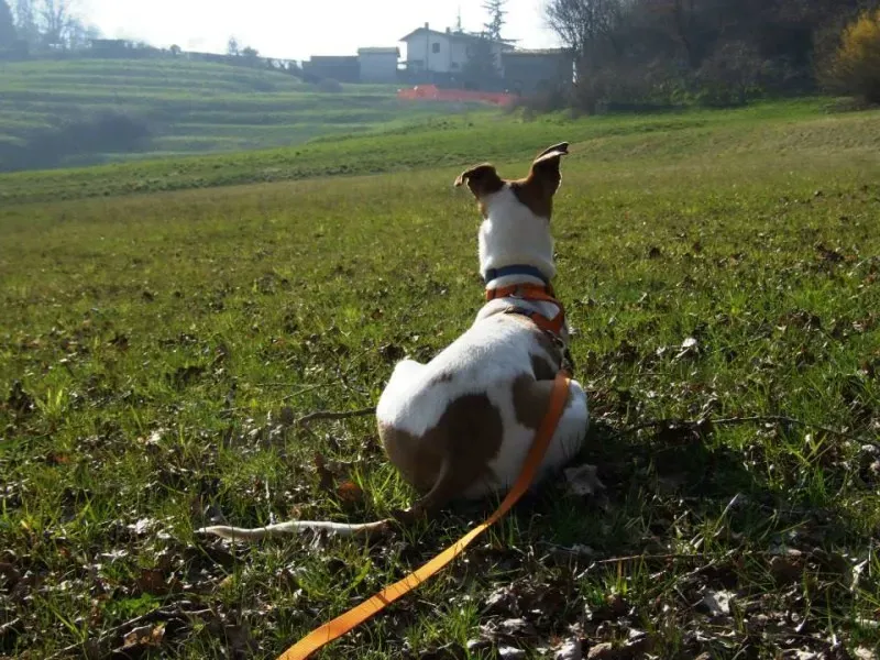 1146552 10202738582497024 1529781352 n