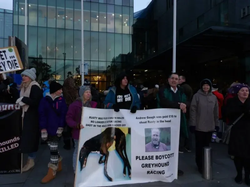 1150168 550563578385115 582114337 n