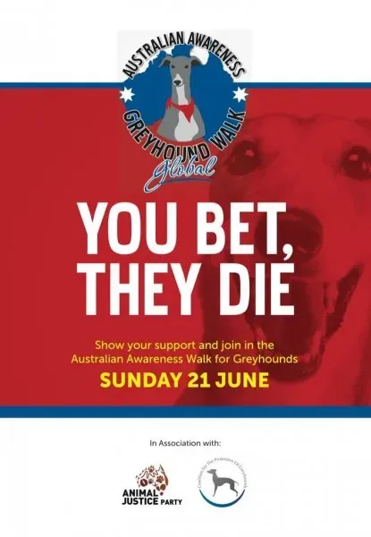 11537580 1438733556434380 5722821228489872812 o