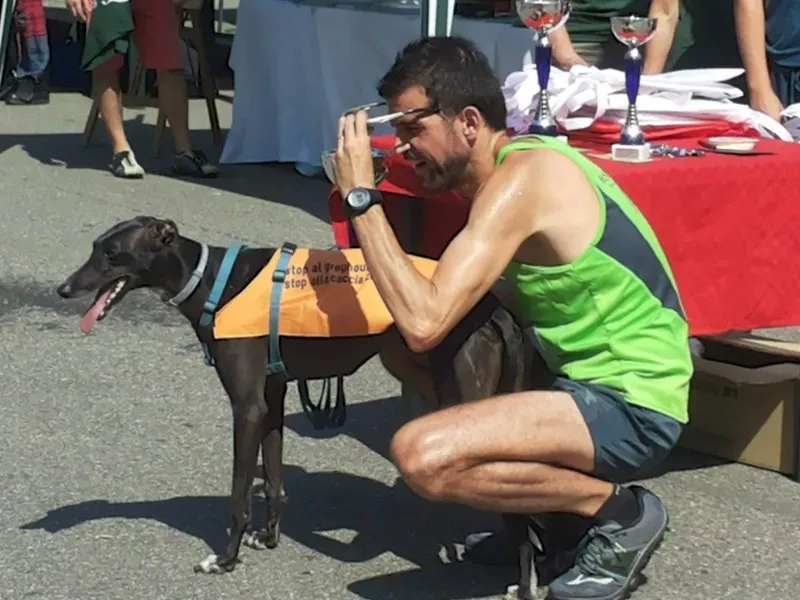 11537901 963602996994259 1799520928375407195 o