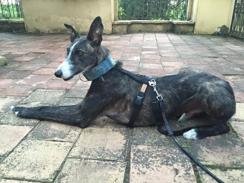 11539690 852822438134946 6635922025936993976 n