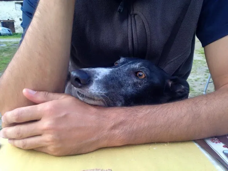 11541036 852883808128809 3333149357968666182 n