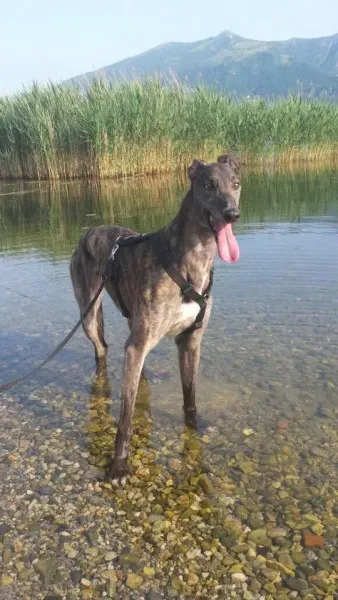 11541087 860157037409234 369775041 n