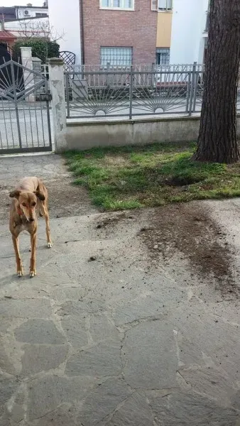 11541107 1423895241269142 529740935 n