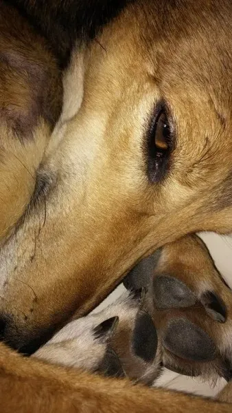 11541311 1423895181269148 943576122 n