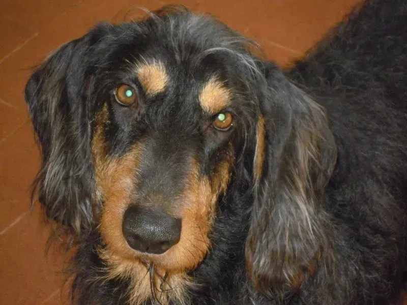 11587 10202938643139501 8306566990384466004 n