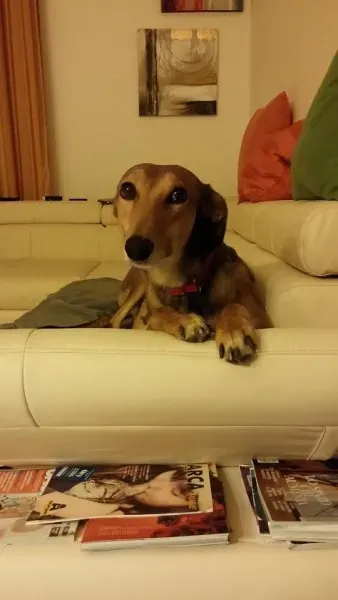 11637968 1423736204618379 2083274027 n