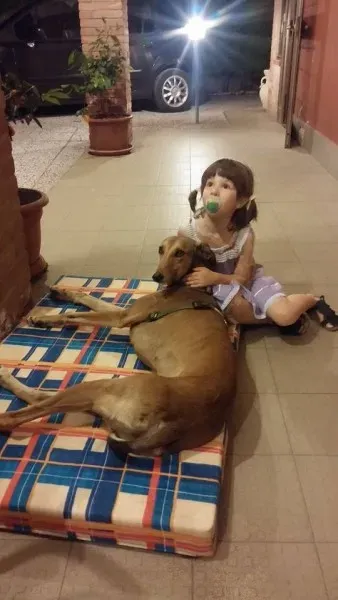 11638006 1423736141285052 1106312871 n