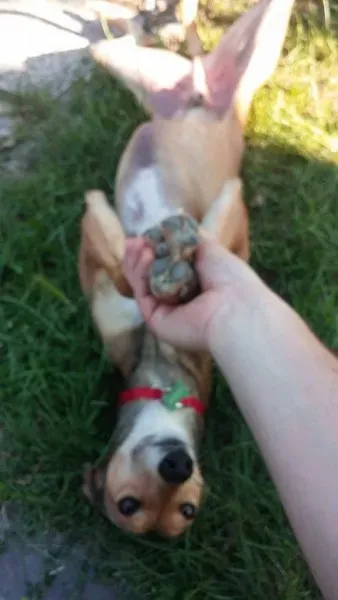 11650464 1423895381269128 2092207817 n