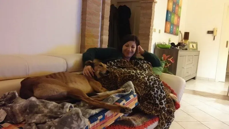 11650964 1423895064602493 949921761 n