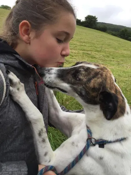 11651095 924580977602928 282143644 n