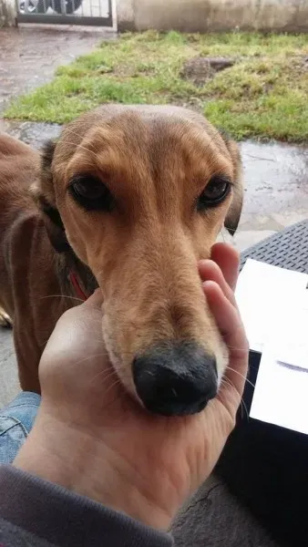 11653384 1423895304602469 1905265261 n