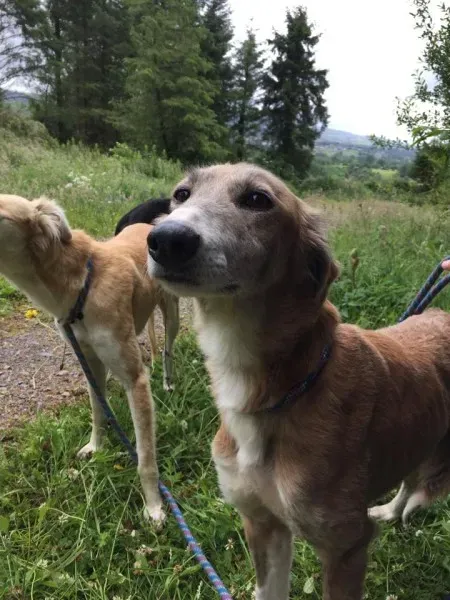 11655433 924576957603330 2027996877 n