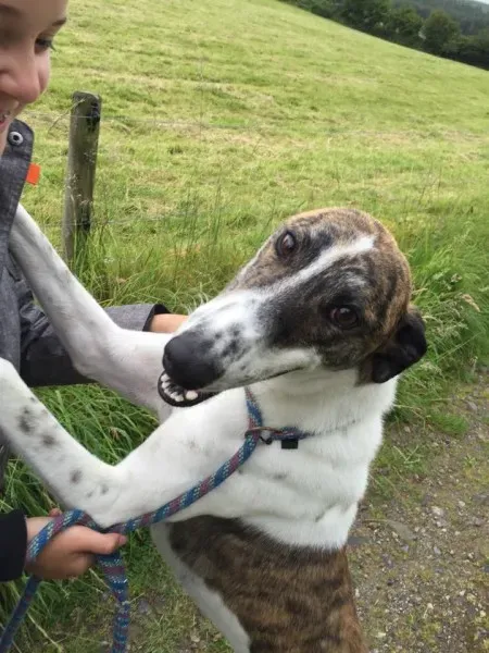 11655448 924581024269590 1667832161 n