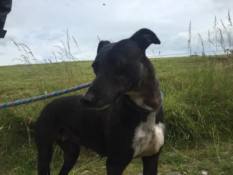 11655451 924004334327259 248281928 n