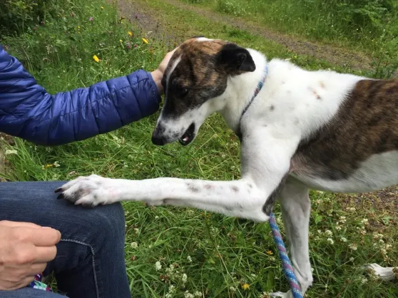 11655456 924581117602914 867304984 n