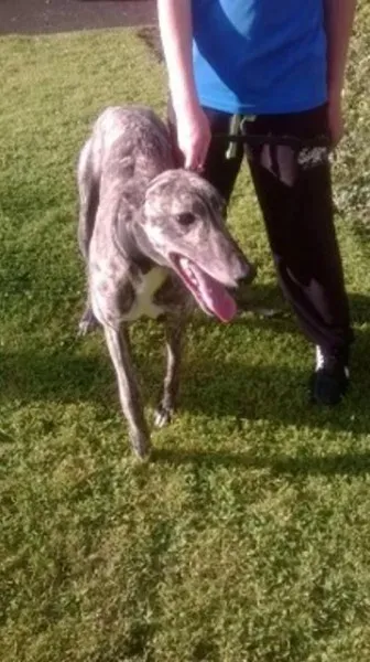 11655529 10152803652540194 614640750 n