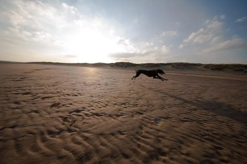 11659233 847701791980344 5217006032233987699 n