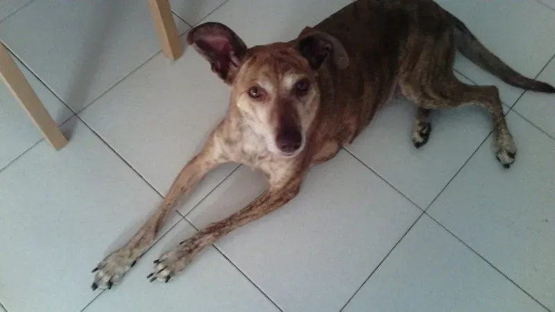 11659389 372848222921666 4307242096111459582 n