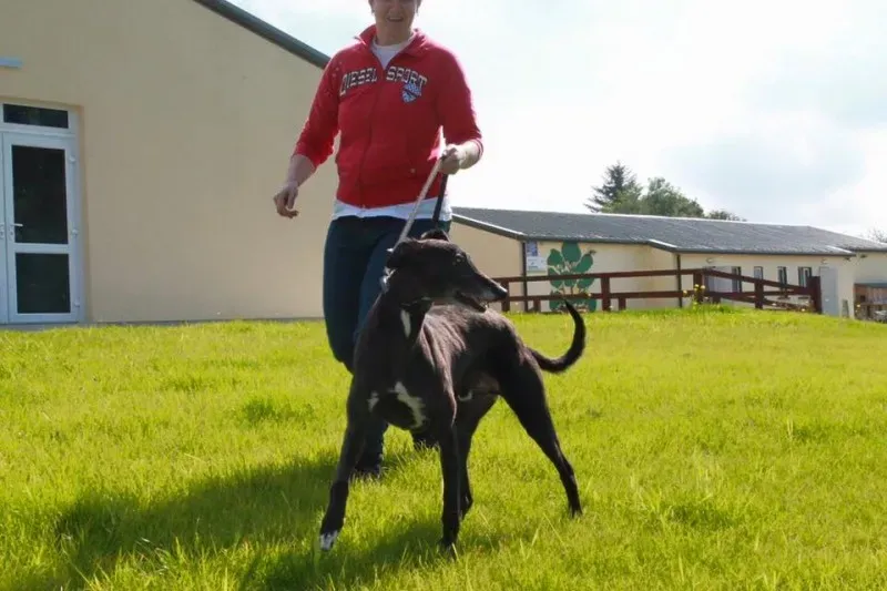 11665390 905010429590561 4475650652579162611 n