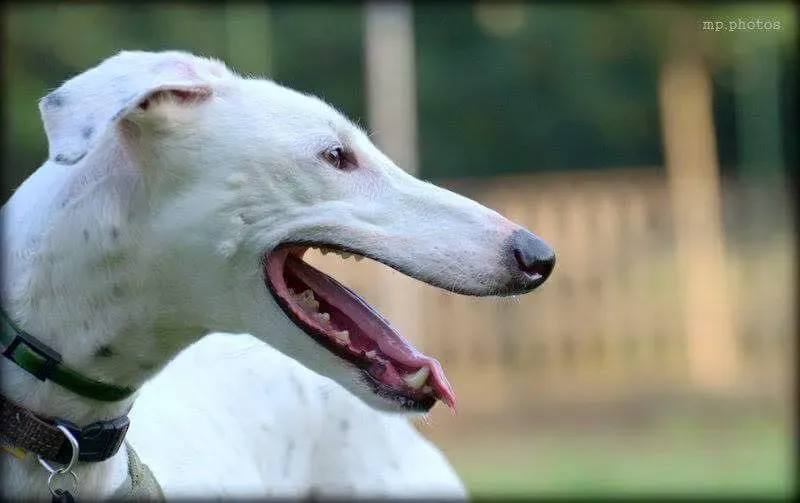 11665584 854751131275410 5917814332741778640 n