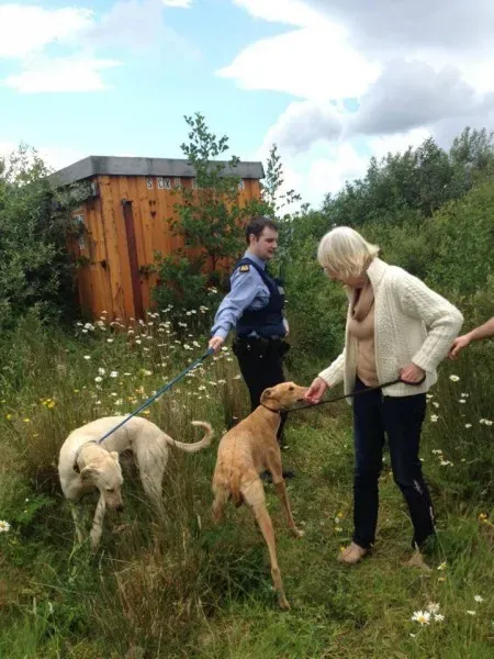 11666138 854884101215848 3399674506048856514 n