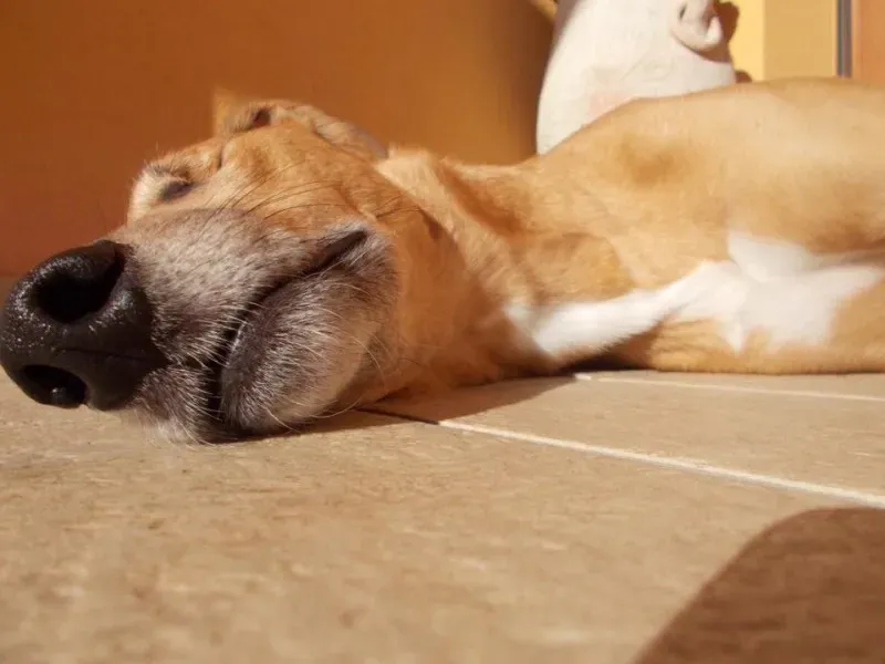 11666159 853338291416694 5924132895191495830 n