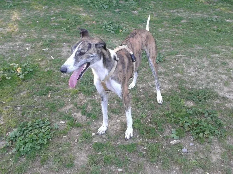 11666199 10204760153540021 51177891241602520 n