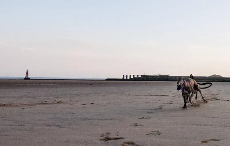 11666313 847701768647013 2422418587971947954 n