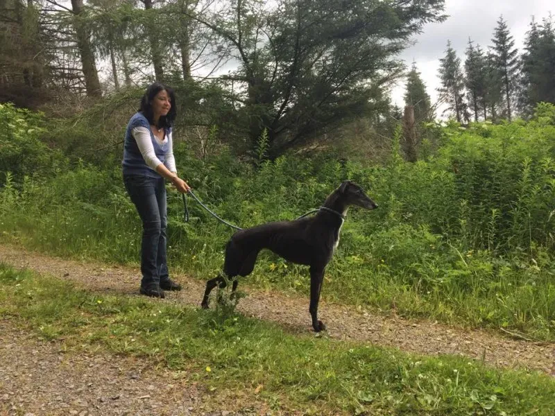 11667185 924005750993784 1422127674 n