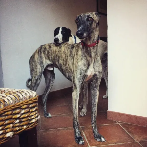 11667418 849164215167435 2732901348862615140 n