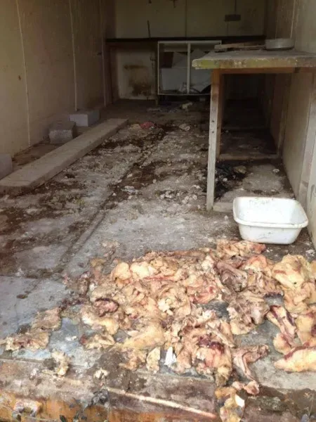 11692497 854884167882508 2162931873605052594 n