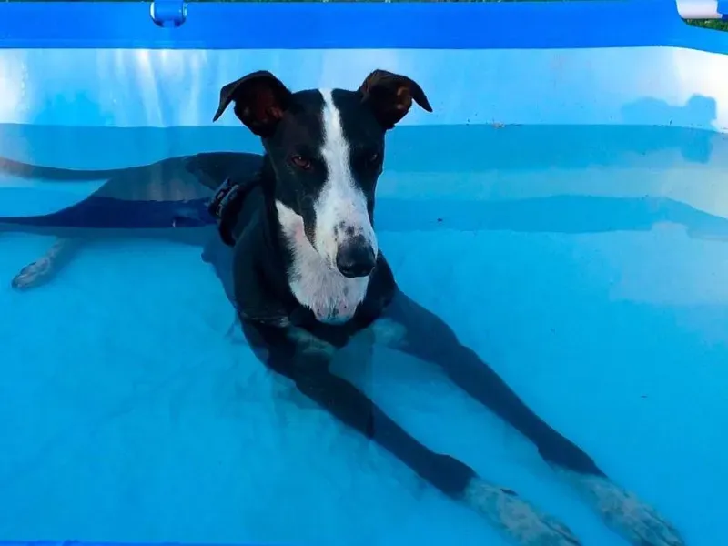 11692561 852820328135157 404296390377985601 n