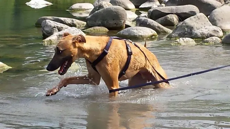 11692629 853836344700222 9192332610564816725 n