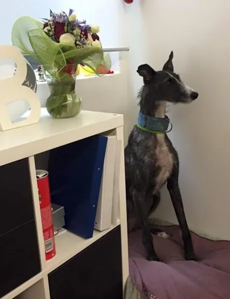 11692642 852822238134966 1768763522567235828 n