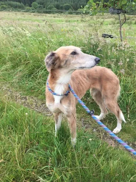 11693236 924576910936668 442039508 n