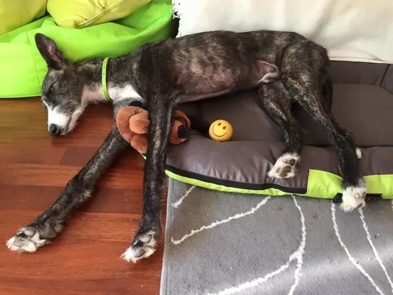 11694853 852822418134948 3144558996563916969 n