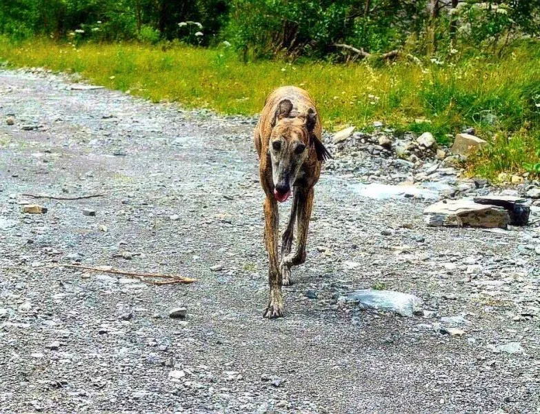 11695914 859110164172840 3370344091127820245 n