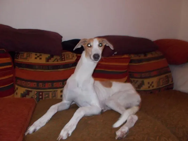 11698560 848727528544437 7482522819828471318 n