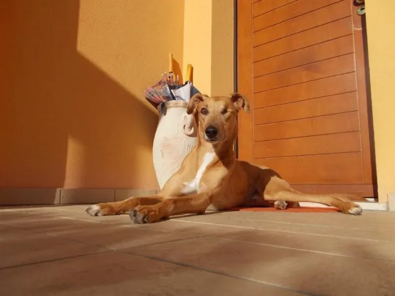 11700877 853338308083359 4008164860606372526 n